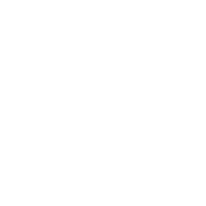 The website logo